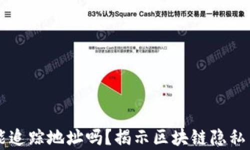 
虚拟币钱包能追踪地址吗？揭示区块链隐私与安全的真相