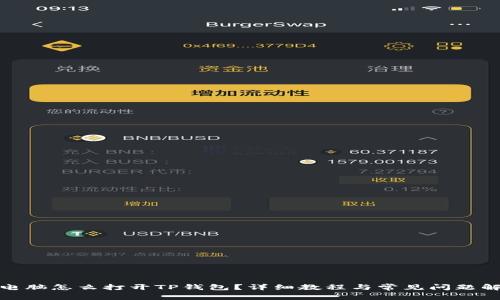: 电脑怎么打开TP钱包？详细教程与常见问题解答