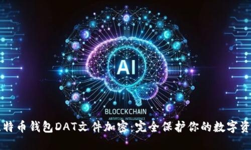 比特币钱包DAT文件加密：完全保护你的数字资产