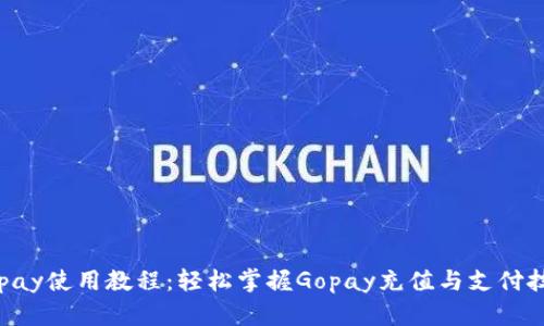 Gopay使用教程：轻松掌握Gopay充值与支付技巧
