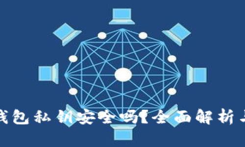 TP钱包生成的钱包私钥安全吗？全面解析与安全防护措施