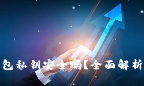 TP钱包生成的钱包私钥安全吗？全面解析与安全防护措施