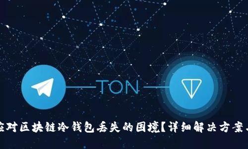 如何应对区块链冷钱包丢失的困境？详细解决方案与建议
