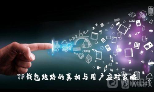 TP钱包跑路的真相与用户应对策略