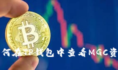 如何在TP钱包中查看MGC资产
