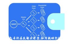 : TP钱包币种丢失解决方案