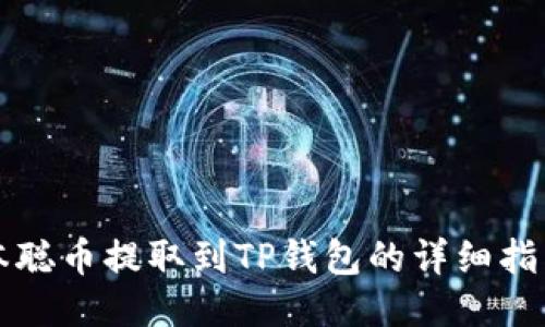 本聪币提取到TP钱包的详细指南