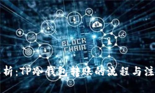深入解析：TP冷钱包转账的流程与注意事项