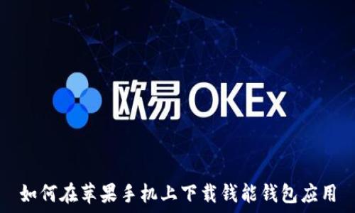   
如何在苹果手机上下载钱能钱包应用