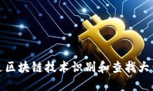 如何通过区块链技术识别和查找大钱包账号