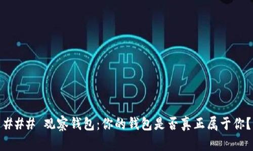 ### 观察钱包：你的钱包是否真正属于你？