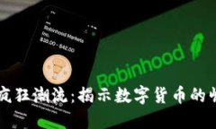比特币的疯狂潮流：揭示