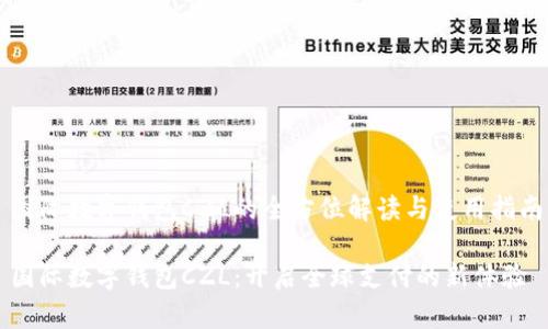 国际数字钱包CZL的全方位解读与使用指南

国际数字钱包CZL：开启全球支付的新体验