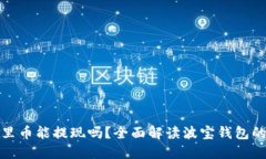 波宝钱包里币能提现吗？