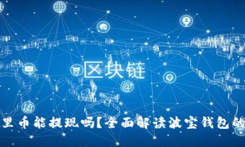 波宝钱包里币能提现吗？全面解读波宝钱包的提现机制