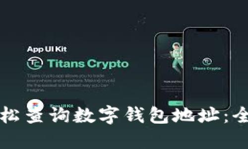 如何轻松查询数字钱包地址：全面指南