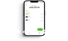 : IM钱包支持的币种一览及