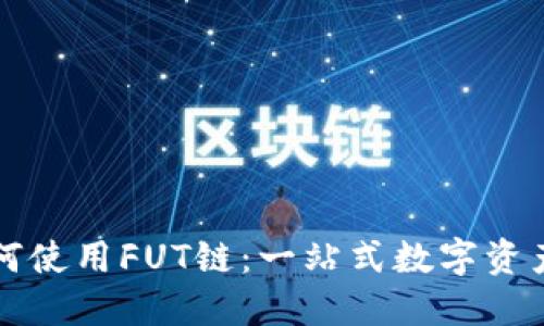 TP钱包如何使用FUT链：一站式数字资产管理指南
