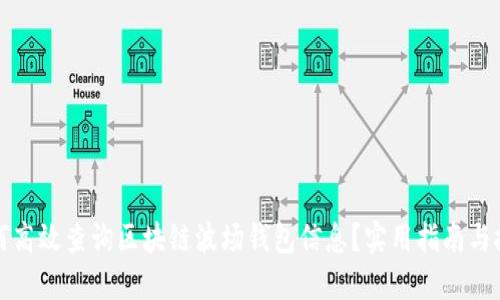 如何高效查询区块链波场钱包信息？实用指南与技巧