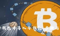 如何在TP钱包中导入子钱包