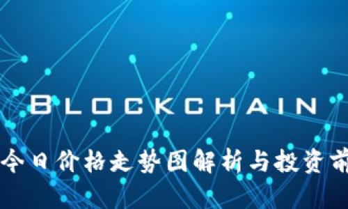 狗狗币今日价格走势图解析与投资前景分析