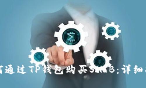 如何通过TP钱包购买SHIB：详细指南