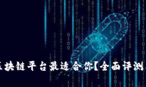 哪家区块链平台最适合你？全面评测与分析