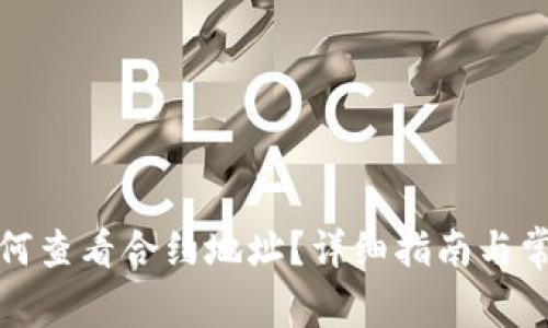 : TP钱包如何查看合约地址？详细指南与常见问题解答
