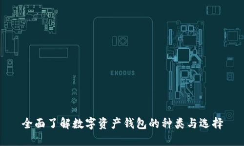 全面了解数字资产钱包的种类与选择