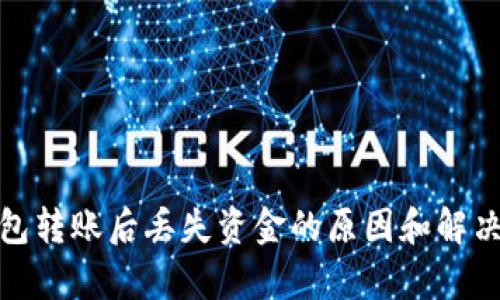 tp钱包转账后丢失资金的原因和解决方案