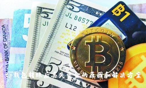 tp钱包转账后丢失资金的原因和解决方案