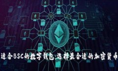 盘点适合BSC的数字钱包：