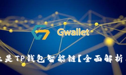 ### 什么是TP钱包智能链？全面解析与应用前景