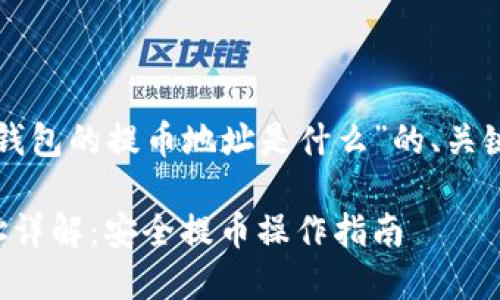 下面是关于“TP钱包的提币地址是什么”的、关键词和内容大纲。

TP钱包提币地址详解：安全提币操作指南