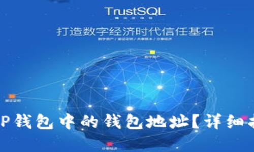 如何查看TP钱包中的钱包地址？详细指南与解答