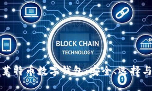 全面了解莱特币数字钱包：安全、选择与使用指南