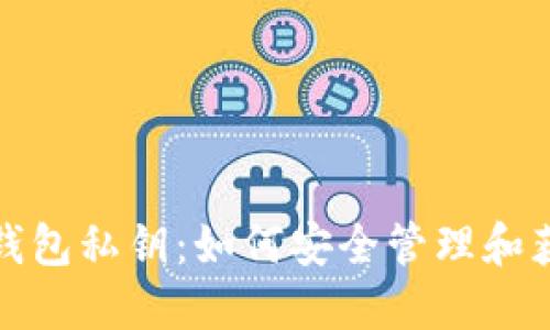 TP钱包私钥：如何安全管理和获取