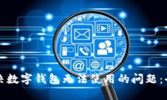 如何解决数字钱包无法使