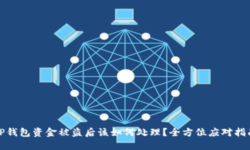 TP钱包资金被盗后该如何处理？全方位应对指南