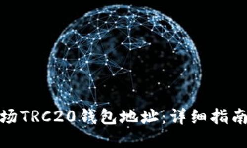 如何下载波场TRC20钱包地址：详细指南与实用建议