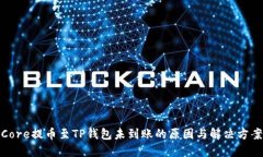 Core提币至TP钱包未到账的