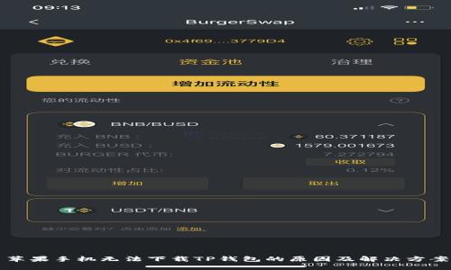 苹果手机无法下载TP钱包的原因及解决方案