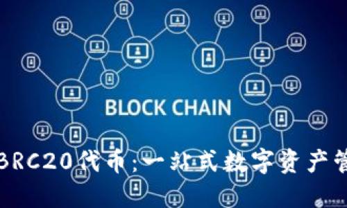 TP钱包与BRC20代币：一站式数字资产管理的未来