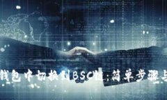 如何在TP钱包中切换到BS
