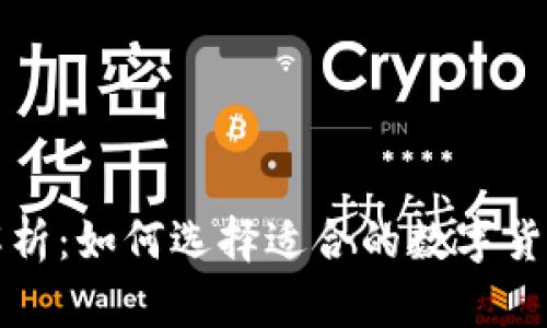 全面解析：如何选择适合的数字货币钱包