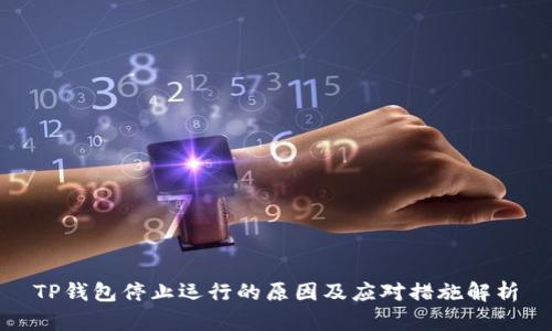 TP钱包停止运行的原因及应对措施解析