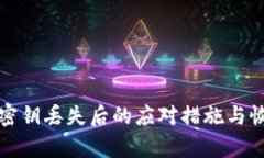 TP钱包密钥丢失后的应对措