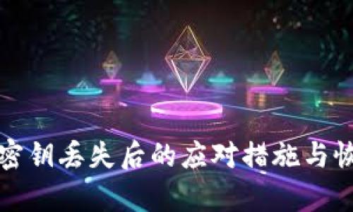 TP钱包密钥丢失后的应对措施与恢复方法