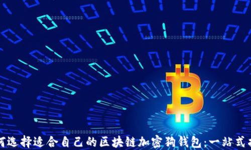 
如何选择适合自己的区块链加密狗钱包：一站式指南