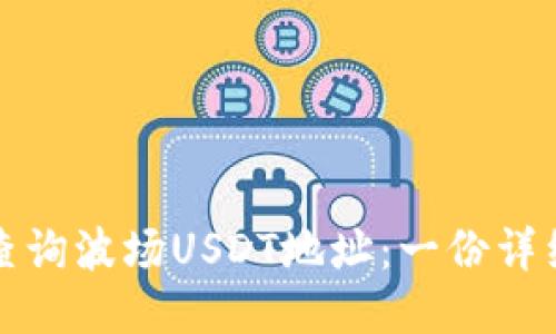 如何查询波场USDT地址：一份详细指南
